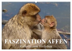 Cover-Bild zum Titel 'Faszination Affen. Kobolde zum Verlieben (Wandkalender 2026 DIN A2 quer), CALVENDO Monatskalender' von 'Elisabeth Stanzer'
