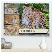Leoparden. Geschmeidig, kräftig und klug (hochwertiger Premium Wandkalender 2026 DIN A2 quer), Kunstdruck in Hochglanz - Rose Hurley
