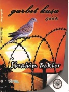 Cover-Bild zum Titel 'Gurbet Kusu' von 'Ibrahim Bekler'