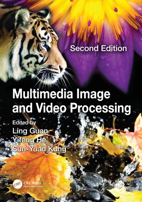 Multimedia Image and Video Processing - 