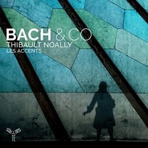 Bach & co (concertos by Telemann,Heinichen,Graun - Les Accents Thibault Noally