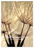 Pusteblumentraum - Dreams of Dandelion (Wandkalender 2024 DIN A2 hoch), CALVENDO Monatskalender - Julia Delgado
