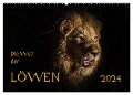 Die Welt der Löwen (Wandkalender 2024 DIN A2 quer), CALVENDO Monatskalender - Barbara Bethke