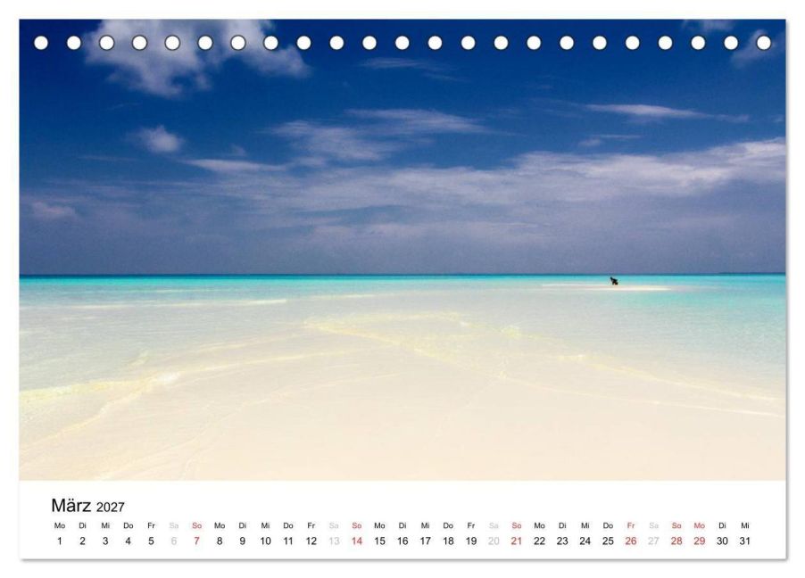 InsideView 8