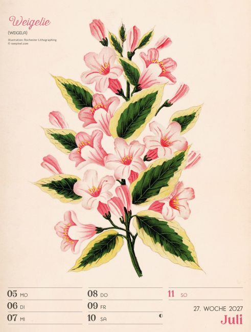 InsideView 31