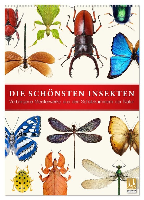 Die schönsten Insekten (Wandkalender 2025 DIN A2 hoch), CALVENDO Monatskalender - Wildlife Art Print