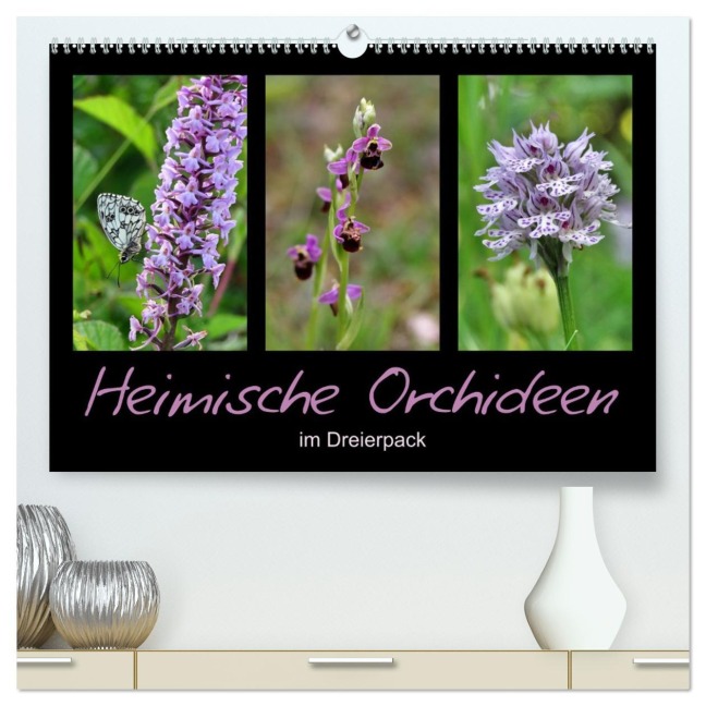 Heimische Orchideen im Dreierpack (hochwertiger Premium Wandkalender 2026 DIN A2 quer), Kunstdruck in Hochglanz - Sabine Löwer
