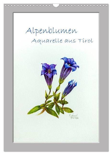 Alpenblumen Aquarelle aus Tirol (Wandkalender 2025 DIN A3 hoch), CALVENDO Monatskalender - Peter Überall