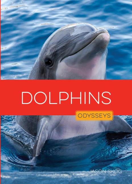 Dolphins - Jason Skog