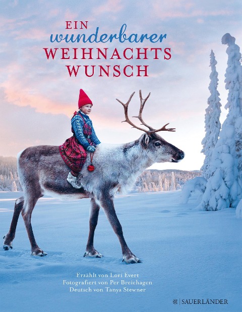 Ein wunderbarer Weihnachtswunsch - Lori Evert, Per Breiehagen