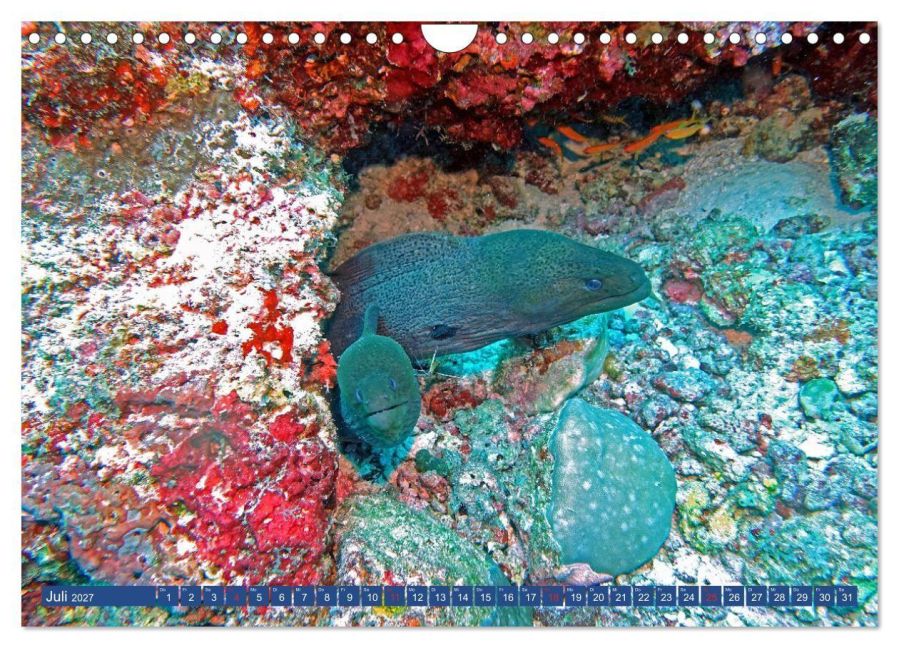InsideView 12