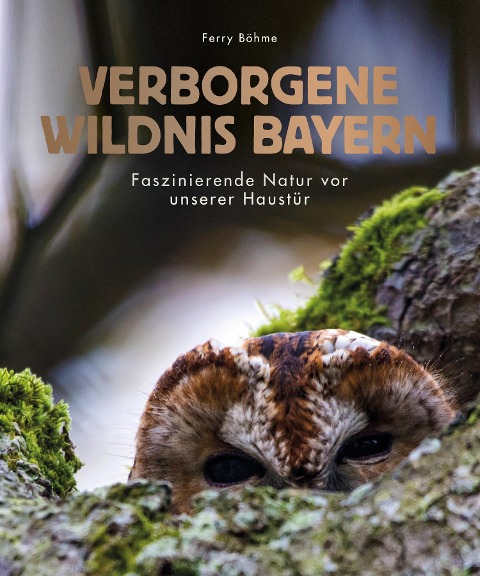 Verborgene Wildnis Bayern - Ferry Böhme