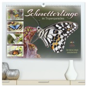 Schmetterlinge im Tropenparadies (hochwertiger Premium Wandkalender 2026 DIN A2 quer), Kunstdruck in Hochglanz - Sabine Löwer