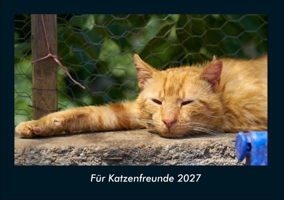 Für Katzenfreunde 2027 Fotokalender DIN A4 - Tobias Schmitt, Kevin Heber