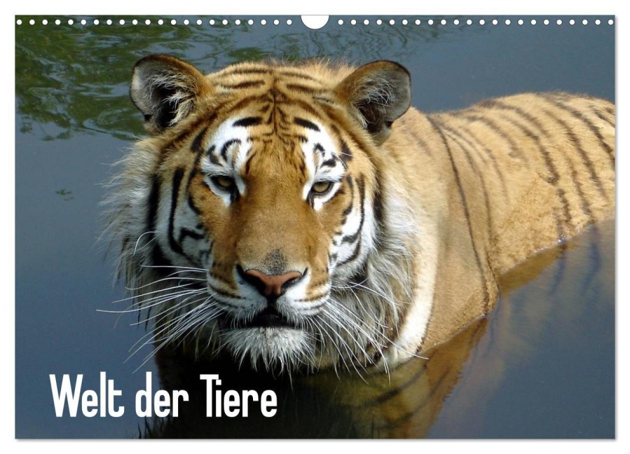 Welt der Tiere (Wandkalender 2026 DIN A3 quer), CALVENDO Monatskalender - Tanja Riedel