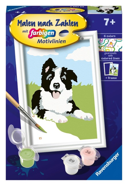 CreArt, Malen nach Zahlen Kinder - Border Collie Welpe - 