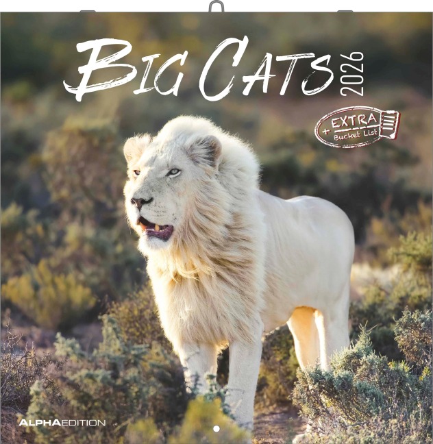Big Cats 2026 - Broschürenkalender 30x30 cm (30x60 geöffnet) - Kalender mit Platz für Notizen - Big Cats - Bildkalender - Wandplaner - Alpha Edition - 