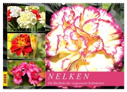 Nelken. Die Rückkehr der vergessenen Schönheiten (Wandkalender 2026 DIN A2 quer), CALVENDO Monatskalender - Rose Hurley