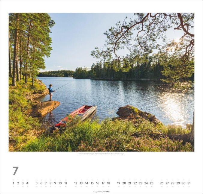 InsideView 7