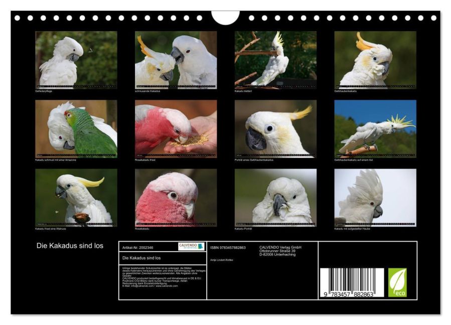 InsideView 5