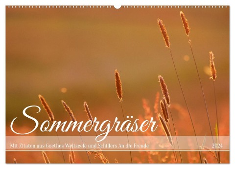 Sommergräser (Wandkalender 2024 DIN A2 quer), CALVENDO Monatskalender - Daniela Tapper