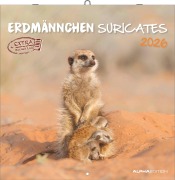 Cover-Bild zum Titel 'Alpha Edition - Erdmännchen 2026 Broschürenkalender, 30x30cm, Wandkalender mit Platz für Notizen und Termine, Motive von süßen Erdmännchen, Monatsübersicht und Ferientermine DE/AT/CH' von ''