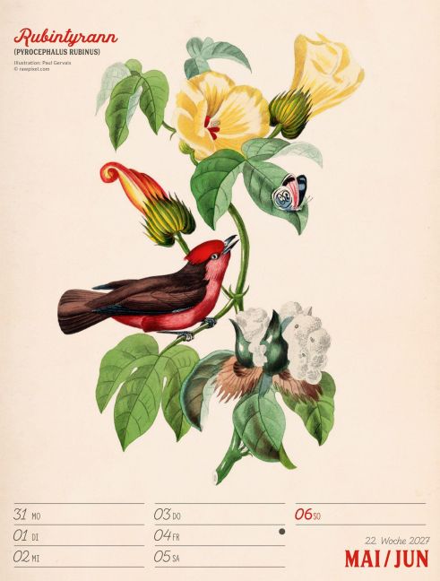 InsideView 26