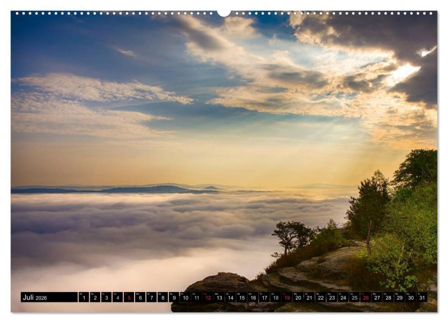 InsideView 12
