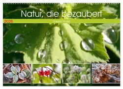 Natur, die bezaubert (Wandkalender 2026 DIN A2 quer), CALVENDO Monatskalender - Gisela Kruse