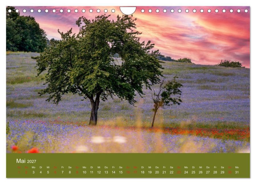 InsideView 10