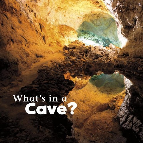 What's in a Cave? - Martha E H Rustad