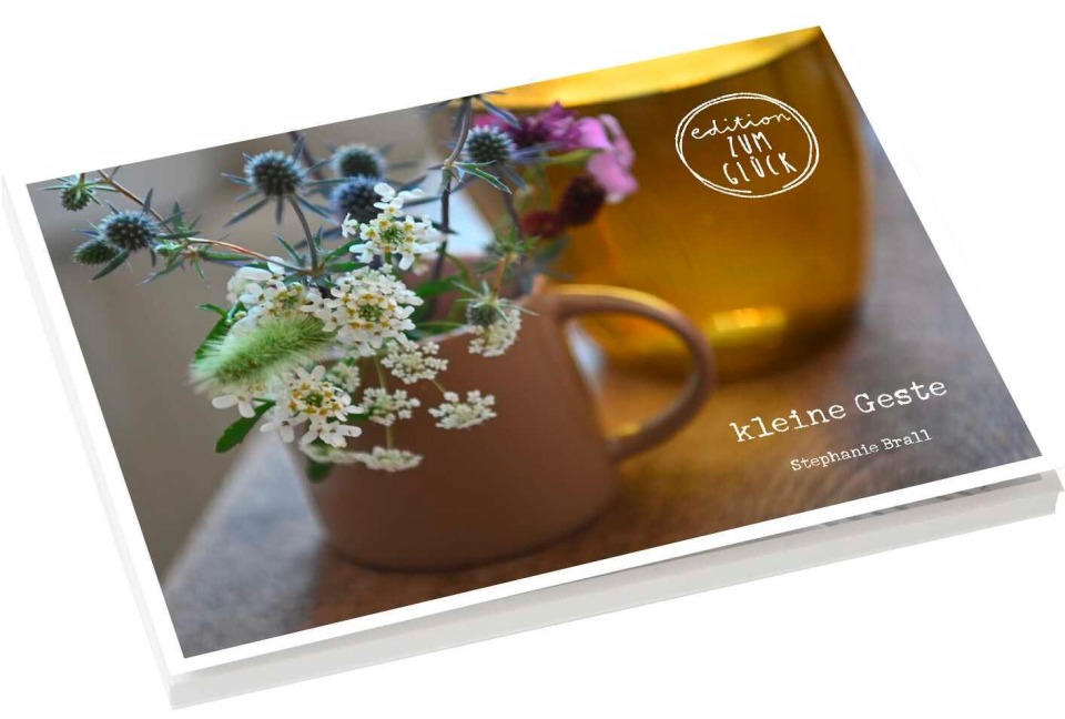 kleine Geste - Postkartenbuch - Stephanie Brall