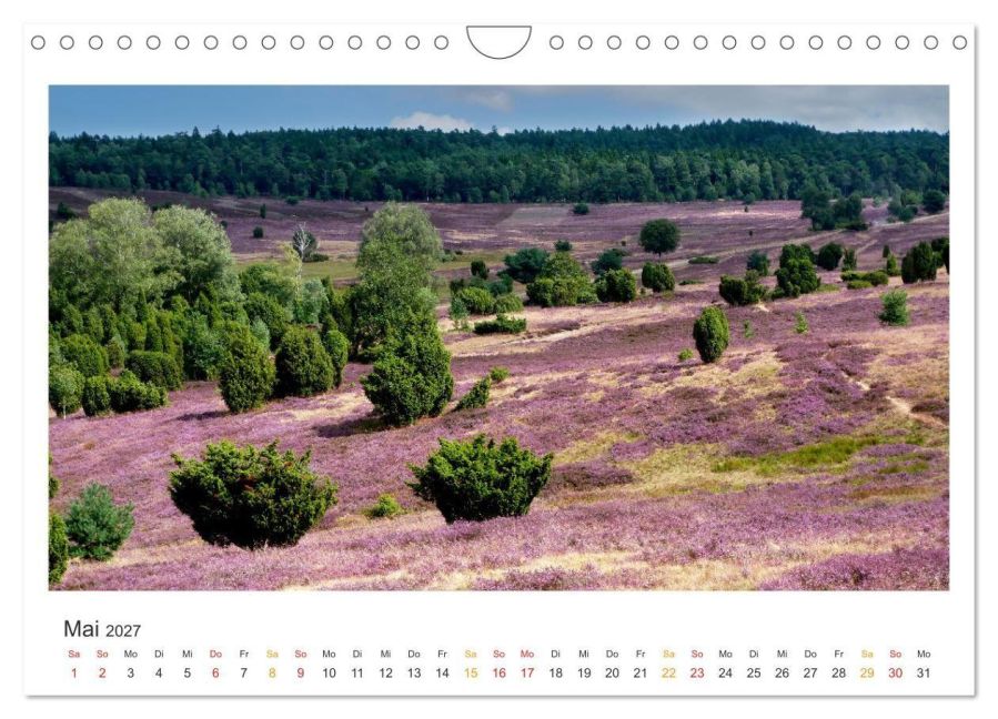 InsideView 10