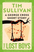 Cover-Bild zum Titel 'The Lost Boys' von 'Tim Sullivan'