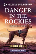 Cover-Bild zum Titel 'Danger in the Rockies' von 'Terri Reed'