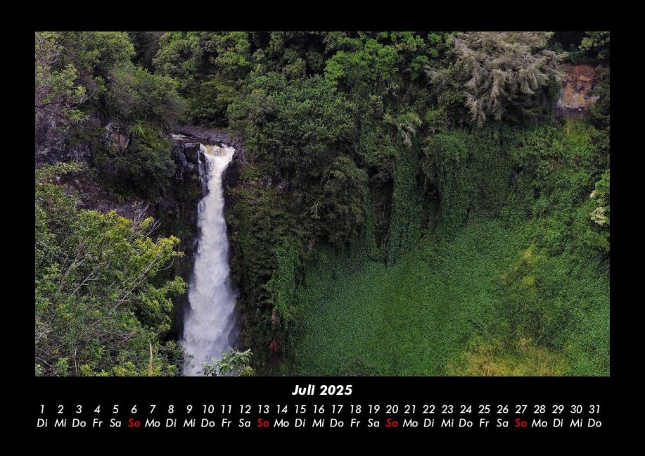 InsideView 11