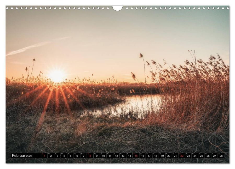 InsideView 7