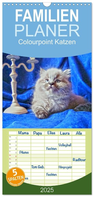 Familienplaner 2025 - Colourpoint Katzen mit 5 Spalten (Wandkalender, 21 x 45 cm) CALVENDO - Sylvia Säume