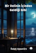 Cover-Bild zum Titel 'Bir Delinin Icinden Geldigi Gibi' von 'Özlem Zerentürk'