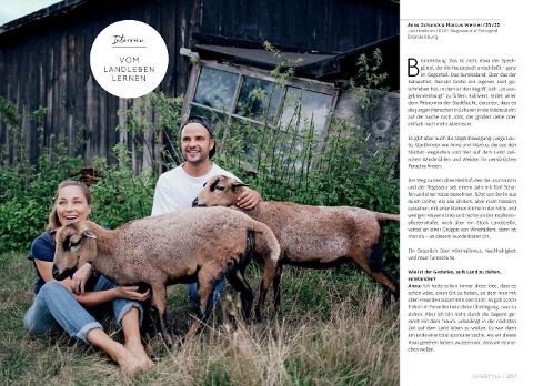 InsideView 11
