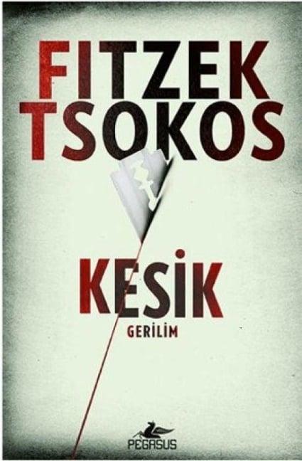 Kesik - Sebastian Fitzek, Michael Tsokos