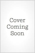Cover-Bild zum Titel 'The Last Elf Vol. 2' von 'Akira Sawano'
