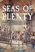 Cover-Bild zum Titel 'Seas of Plenty' von 'Iain Soden'