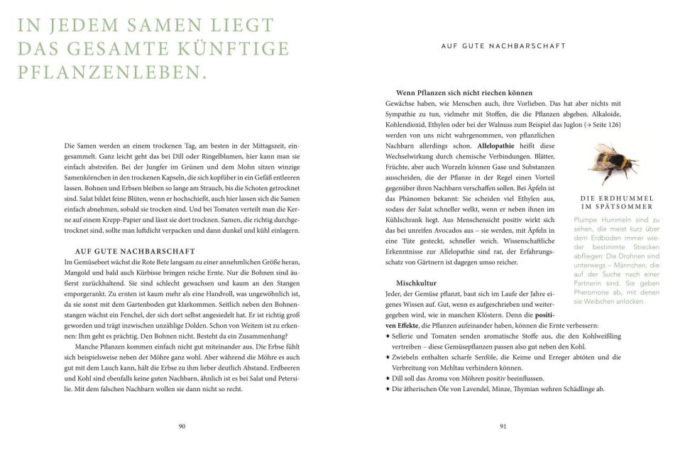 InsideView 8