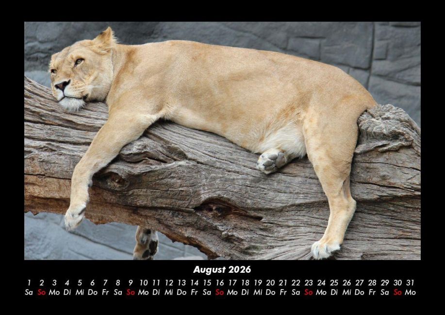 InsideView 12