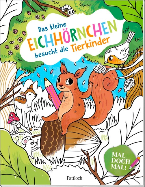 Mal doch mal! - Das kleine Eichhörnchen besucht die Tierkinder - 