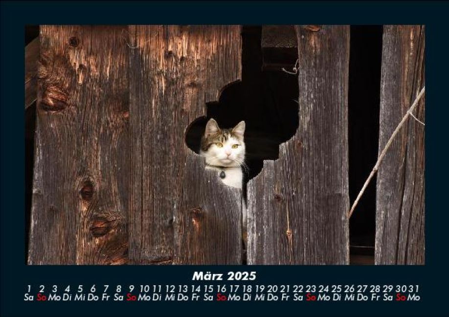 InsideView 7