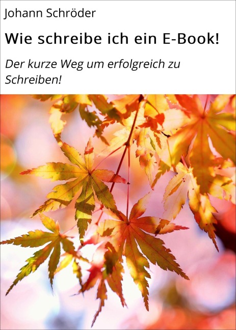 Wie schreibe ich ein E-Book! - Johann Schröder