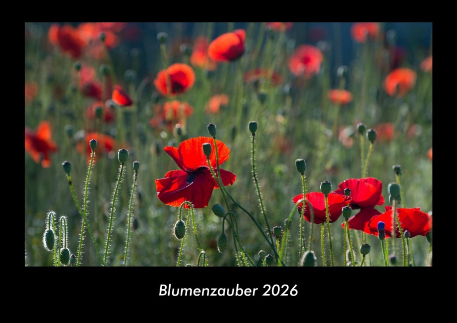 Blumenzauber 2026 Fotokalender DIN A3 - Kevin Heber, Tobias Schmitt