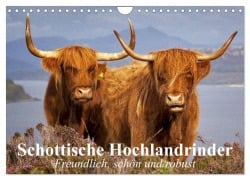 Schottische Hochlandrinder. Freundlich, schön und robust (Wandkalender 2026 DIN A4 quer), CALVENDO Monatskalender - Elisabeth Stanzer